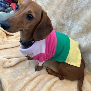 Small Easter Egg Button Shirt